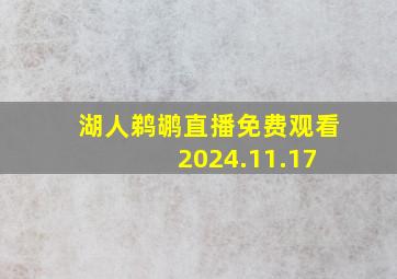 湖人鹈鹕直播免费观看 2024.11.17